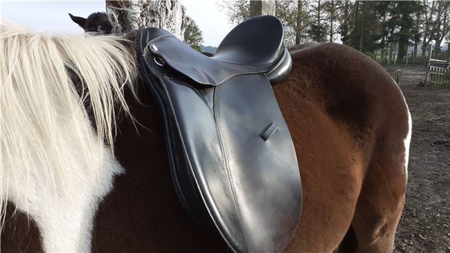 VSD LORD 17,5, LORD EXPERT Hand Made, Petra , All Purpose Saddle, Eldena , Image 12