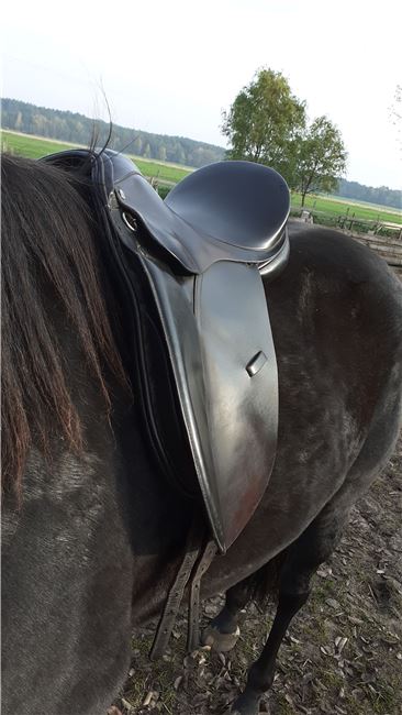 VSD LORD 17,5, LORD EXPERT Hand Made, Petra , All Purpose Saddle, Eldena , Image 7