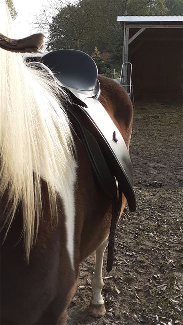 VSD LORD 17,5, LORD EXPERT Hand Made, Petra , All Purpose Saddle, Eldena , Image 4