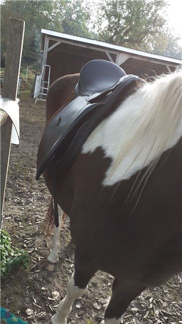VSD LORD 17,5, LORD EXPERT Hand Made, Petra , Vielseitigkeitssattel (VS), Eldena , Abbildung 8