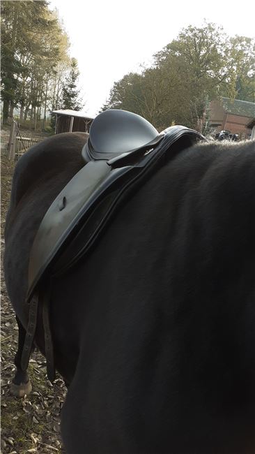 VSD LORD 17,5, LORD EXPERT Hand Made, Petra , Vielseitigkeitssattel (VS), Eldena , Abbildung 19