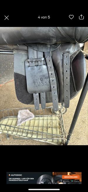 Vsd Sattel, Busse Bristol, Nele, All Purpose Saddle, Hachenburg, Image 5