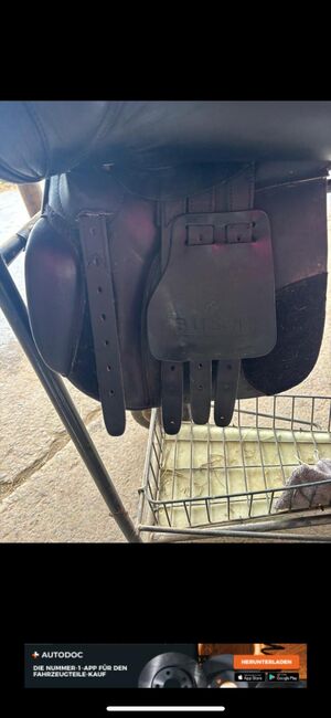 Vsd Sattel, Busse Bristol, Nele, All Purpose Saddle, Hachenburg, Image 4