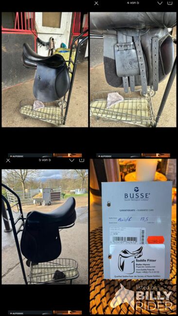 Vsd Sattel, Busse Bristol, Nele, All Purpose Saddle, Hachenburg, Image 7