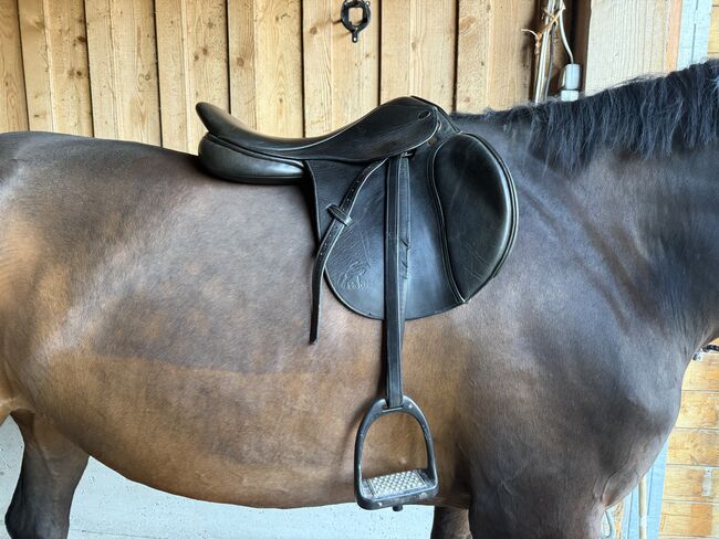 VSS Sattel Gentec 17.5", Felix Bühler, Lea, All Purpose Saddle, Widnau