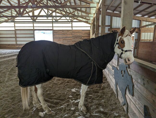 Vtek Storm Shield used blanket, Schneiders  Vtek Storm Shield, Bethany McGeary, Derki dla konia, Toledo, Image 12