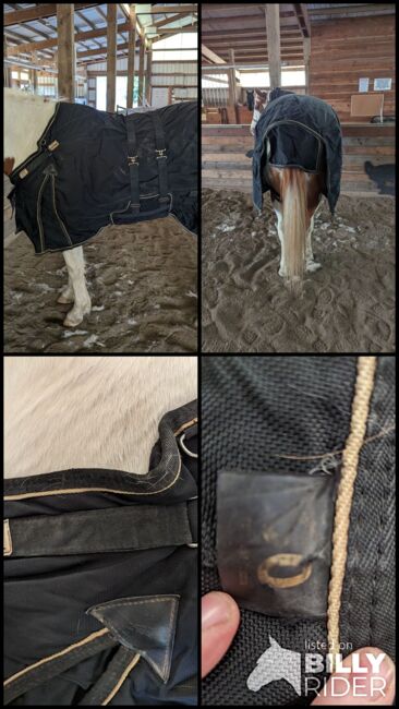 Vtek Storm Shield used blanket, Schneiders  Vtek Storm Shield, Bethany McGeary, Derki dla konia, Toledo, Image 13