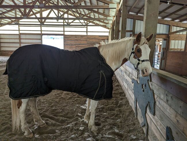 Vtek Storm Shield used blanket, Schneiders  Vtek Storm Shield, Bethany McGeary, Horse Blankets, Sheets & Coolers, Toledo, Image 3