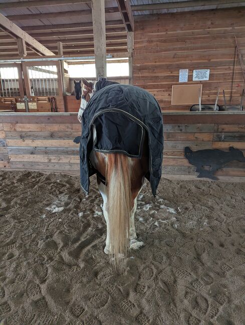 Vtek Storm Shield used blanket, Schneiders  Vtek Storm Shield, Bethany McGeary, Horse Blankets, Sheets & Coolers, Toledo, Image 9