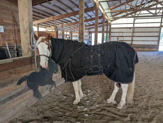 Vtek Storm Shield used blanket, Schneiders  Vtek Storm Shield, Bethany McGeary, Horse Blankets, Sheets & Coolers, Toledo, Image 6