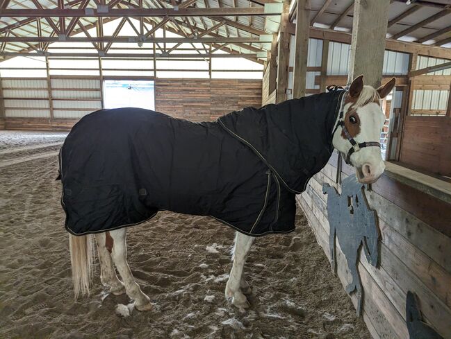 Vtek Storm Shield used blanket, Schneiders  Vtek Storm Shield, Bethany McGeary, Pferdedecken, Toledo, Abbildung 11