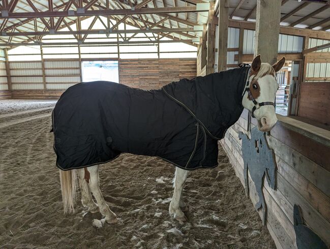 Vtek Storm Shield used blanket, Schneiders  Vtek Storm Shield, Bethany McGeary, Pferdedecken, Toledo, Abbildung 10