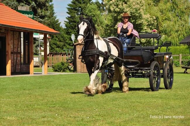 Wagonette zu verkaufen., Nicole Klink, Carriages, Großderschau , Image 3