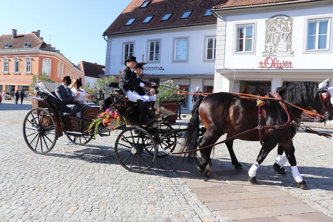 Kutsche für Großpferde, Kibele  Vis-a-Vis, Maximilian  Scheiber, Carriages, Schreibersdorf , Image 2