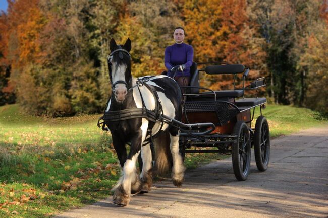 Wagonette zu verkaufen., Nicole Klink, Carriages, Großderschau , Image 24