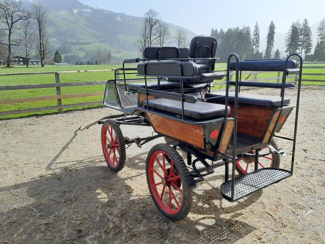 Wagonette Ein- und Zweispännig, Nicki, Carriages, Hopfgarten, Image 3