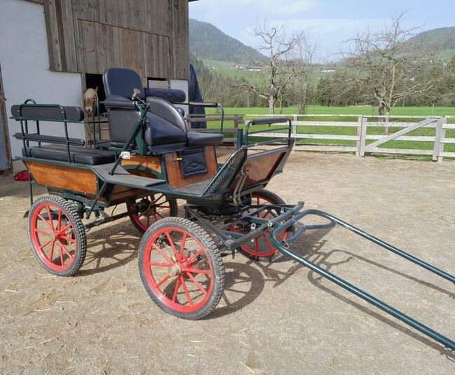 Wagonette Ein- und Zweispännig, Nicki, Carriages, Hopfgarten, Image 2