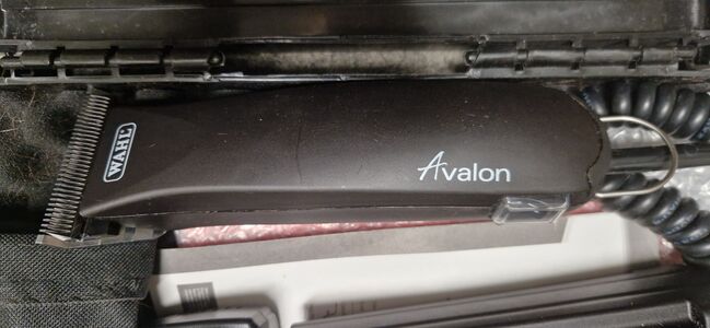 Wahl Schermaschine Avalon, Wahl Avalon, Judith, Grooming Brushes & Equipment, Bremen, Image 3