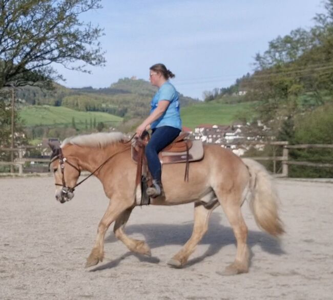 Traum Haflinger Wallach, Katja Milsch , Konie na sprzedaż, Schwanau, Image 7