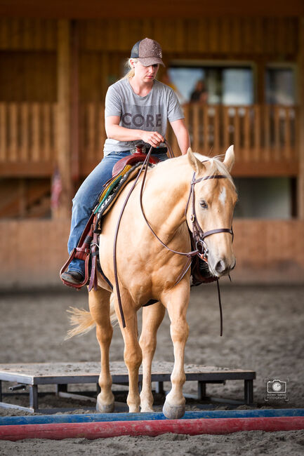 Quaterhorse Wallach abzugeben, Alexandra , Konie na sprzedaż, Lustenau , Image 3