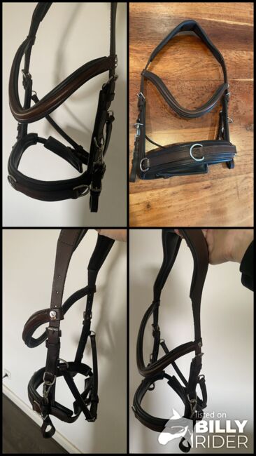 Waldhausen anatomischer Kappzaum leder braun VB, Waldhausen Kappzaum anatomic, Franziska , Bitless Bridles, Wolfsburg, Image 5