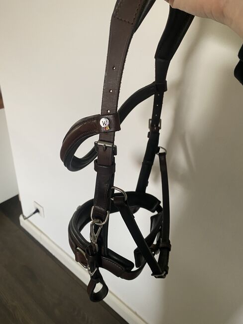 Waldhausen anatomischer Kappzaum leder braun VB, Waldhausen Kappzaum anatomic, Franziska , Bitless Bridles, Wolfsburg, Image 4