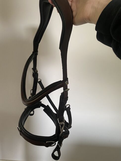 Waldhausen anatomischer Kappzaum leder braun VB, Waldhausen Kappzaum anatomic, Franziska , Bitless Bridles, Wolfsburg, Image 3