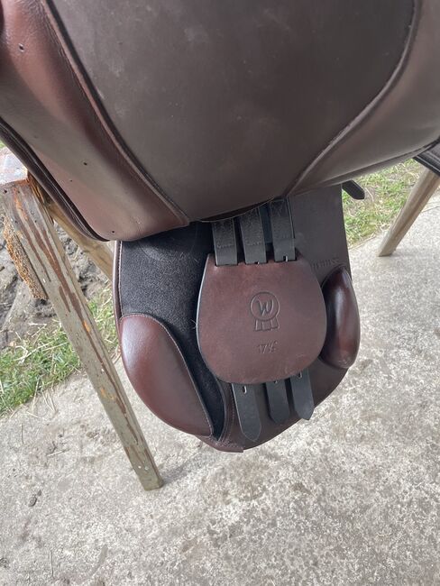 Waldhausen Comfort Springsattel, Waldhausen Leder Springsattel Comfort, Michelle Flaumitsch, Jumping Saddle, Matschiedl , Image 4