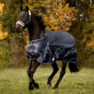 Waldhausen COMFORT Outdoordecke, 200 g, Waldhausen, Maya (Swisshorseshop), Horse Blankets, Sheets & Coolers, Frauenfeld