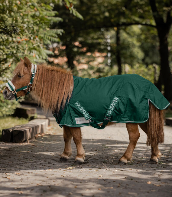 Waldhausen COMFORT Shetty-Regendecke LIGHT, Waldhausen, Maya (Swisshorseshop), Horse Blankets, Sheets & Coolers, Frauenfeld