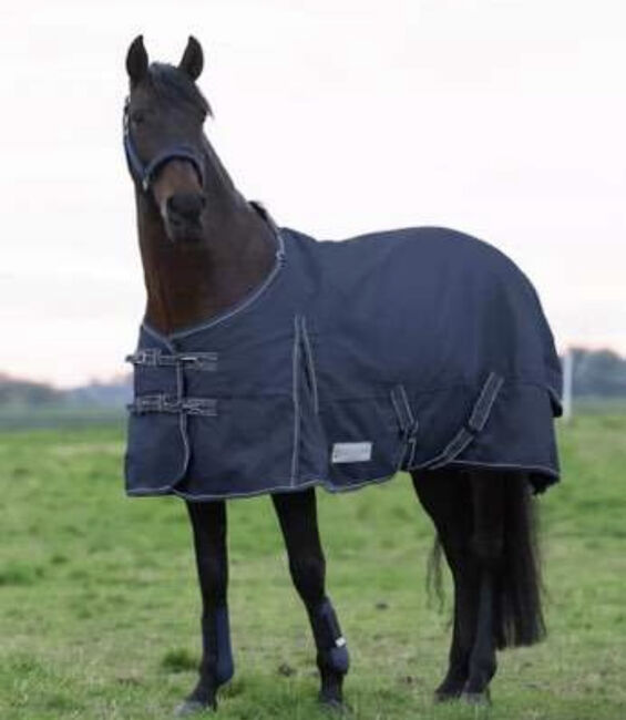 Waldhausen Outdoordecke Economic 100g, Waldhausen Outdoordecke Economic , Kerstin, Horse Blankets, Sheets & Coolers, St. Kanzian