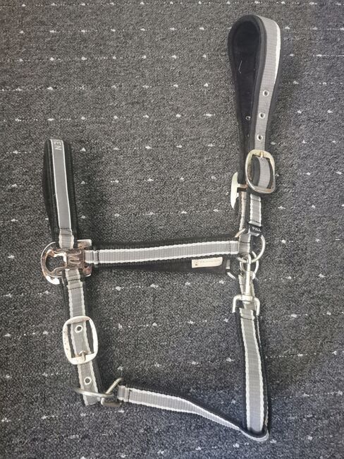 Waldhausen Halfter Full, Waldhausen, Daniela Cardoso, Halters, Neubiberg