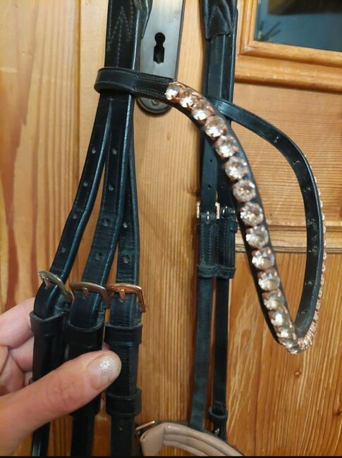 Waldhausen Zaumzeug rosegold Lack WB, Waldhausen , Sabine Panis, Bridles & Headstalls, Wiener Neustadt , Image 4