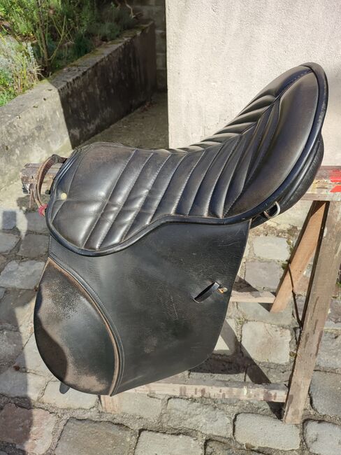 Waldhausen Isländersattel Tölt älteres Modell, Waldhausen  Tölt, Katrin, Isländersattel, Ibbenbüren
