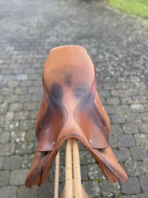 Waldhausen Moll Future Springsattel, Waldhausen Moll Future, Julia, Jumping Saddle, Schotten, Image 9