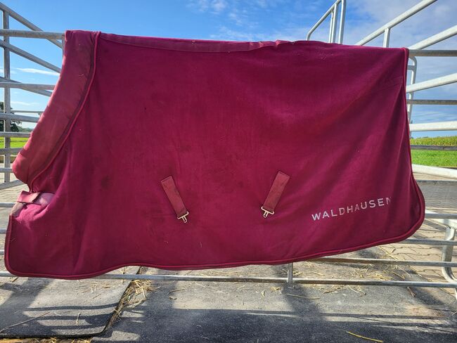 Abschwitzdecke Waldhausen Nepal, Waldhausen Nepal, Katharina, Horse Blankets, Sheets & Coolers, Erding