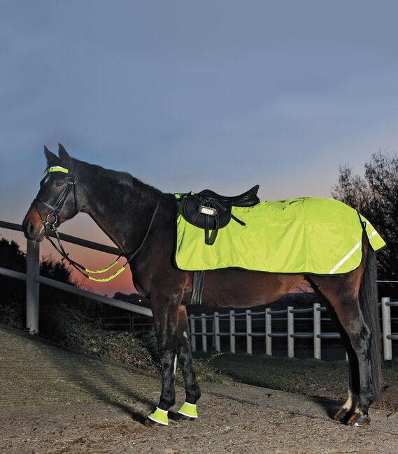 Waldhausen REFLEX Nierendecke mit Fleece – Sichtbarkeit und Komfort für sichere Ausritte, Waldhausen, Maya (Swisshorseshop), Reflective Horse Wear, Frauenfeld
