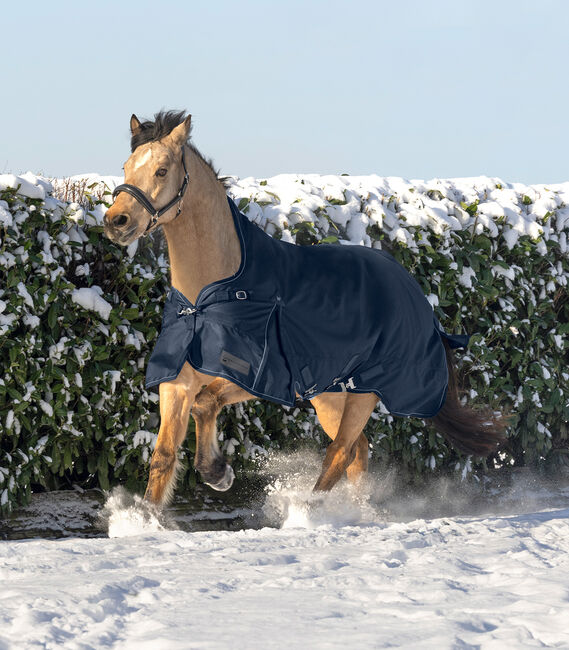 Waldhausen SCANDIC Outdoordecke, High Neck, 200 g, Waldhausen, Maya (Swisshorseshop), Horse Blankets, Sheets & Coolers, Frauenfeld