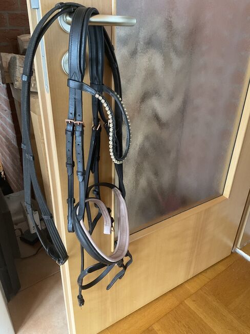 Waldhausen Trense, Waldhausen , Lena Fuhrmann , Bridles & Headstalls, Bad Harzburg 