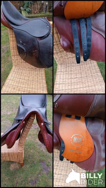 Springsattel von Waldhausen 17 Zoll - Gebraucht, Waldhausen  Moll, Tanja, Jumping Saddle, Ochtrup, Image 11