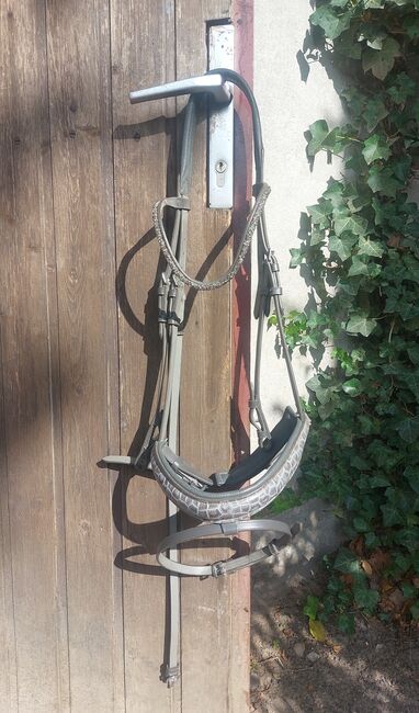 Waldhausen Trense, Reithalfter Krokooptik, Full, Waldhausen , Kerstin , Bridles & Headstalls, Mönchengladbach 