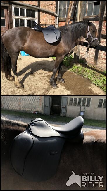 Waldhausen VS Sattel 17,5“, Waldhausen Comfort , Lisa Heinrich, All Purpose Saddle, Saalburg, Image 3