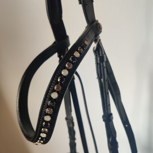 Waldhausen X-Line Hackamore Schwarz, Waldhausen  X-Line Hackamore , Nina Burkhardt , Bitless Bridles, Odenthal, Image 3