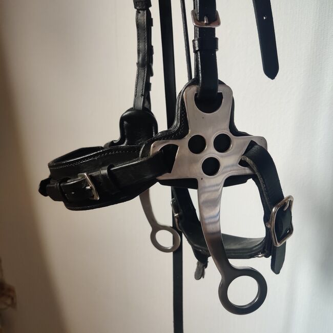 Waldhausen X-Line Hackamore Schwarz, Waldhausen  X-Line Hackamore , Nina Burkhardt , Bitless Bridles, Odenthal, Image 2