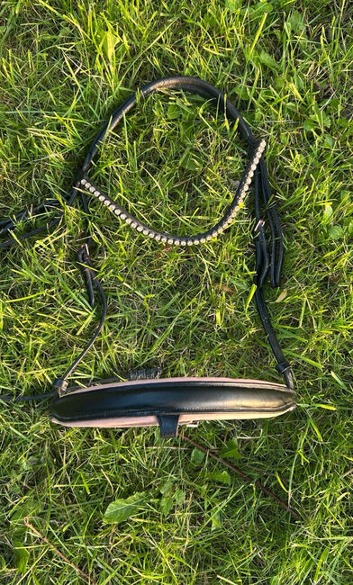 Waldhausen X-Line Trensenzaum, Waldhausen Trensenzaum, Lilly, Bridles & Headstalls, Oersberg