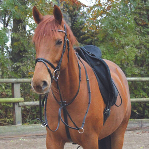 Waldhausen X-Line Martingal FULL UVP 39,95€, WOW Pferd  (WOW Pferd), Hilfszügel, Bayern - Attenkirchen