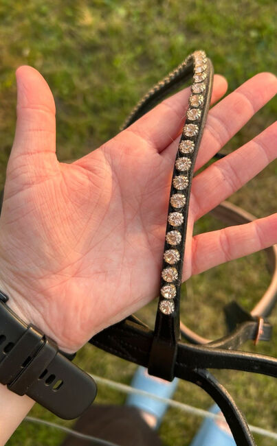 Waldhausen X-Line Trensenzaum, Waldhausen Trensenzaum, Lilly, Bridles & Headstalls, Oersberg, Image 2