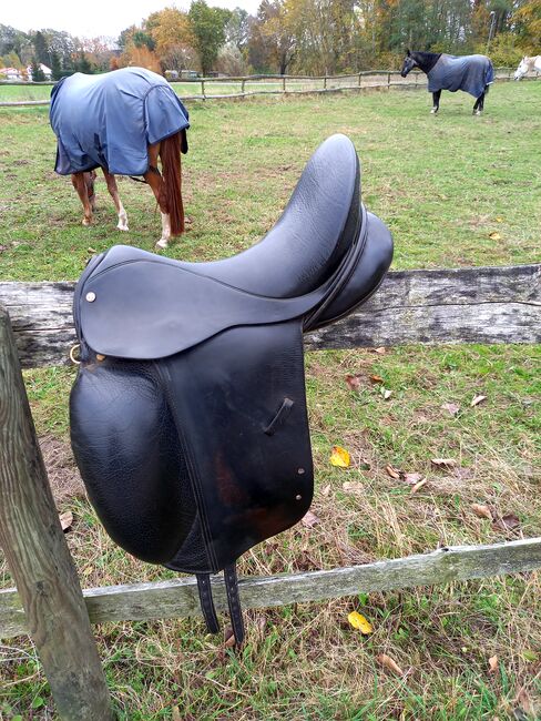 Walsall Titan Dressursattel, Walsall  Titan, Annalena , Dressage Saddle, Biendorf 