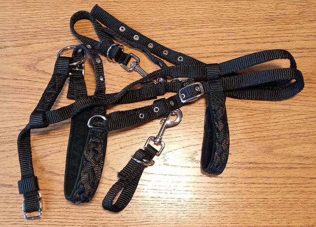 Wanderreithalfter Pony, Silverado, Annette Peterlick, Nosebands, Dischingen