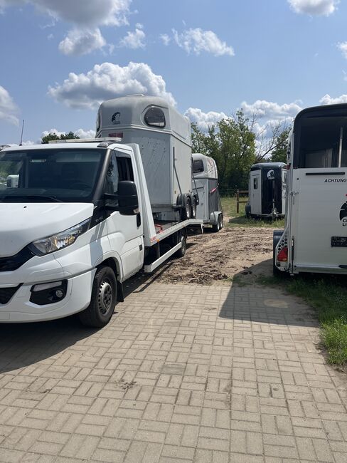 Gesucht Pferdeanhänger/ Viehanhänger/ Transporter gern defekt, auch mit Schaden ❗️, Unterschiedliche Marken  Bitte Alles gern anbieten , P.T. Anhänger 🐴🐴, Other, Salzhemmendorf, Image 6